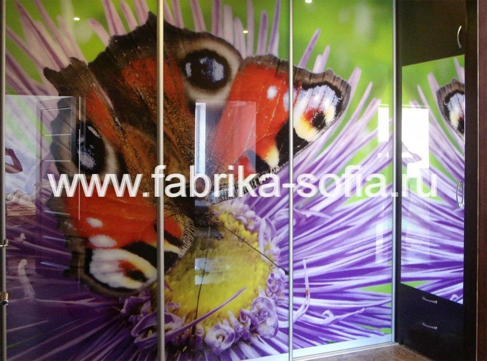 Угловой шкаф-купе с яркой фотопечатью под заказ в Краснодаре