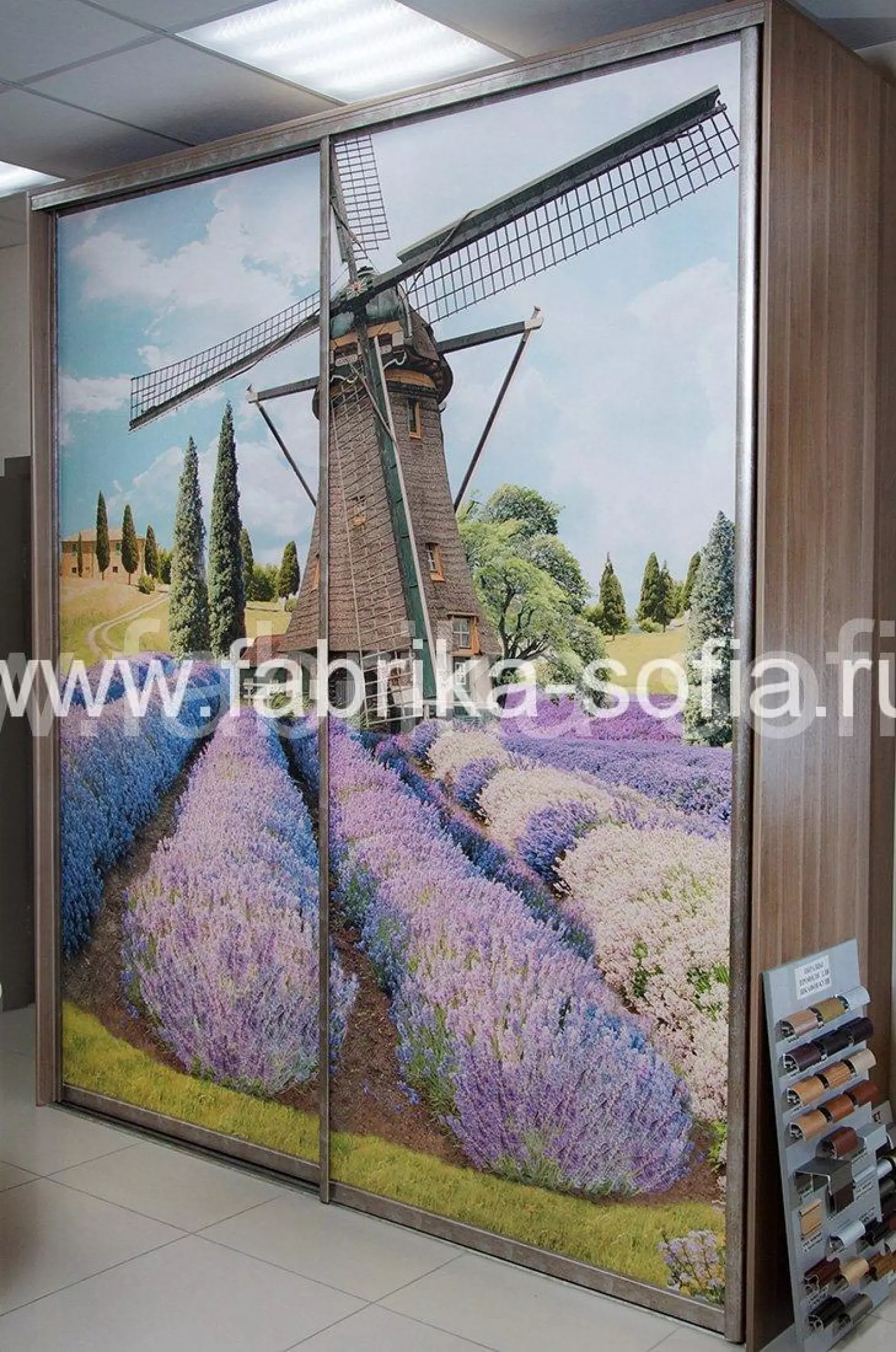 Изысканный шкаф-купе с рисунком на фасаде