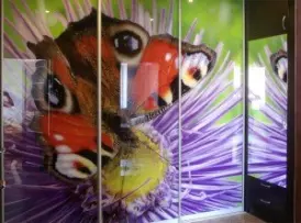 Угловой шкаф-купе с яркой фотопечатью под заказ в Краснодаре