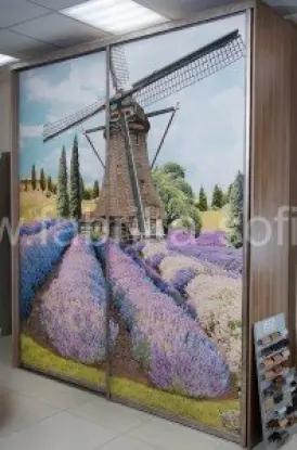 Изысканный шкаф-купе с рисунком на фасаде