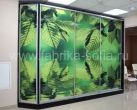 Современный шкаф-купе с фотопечатью под заказ